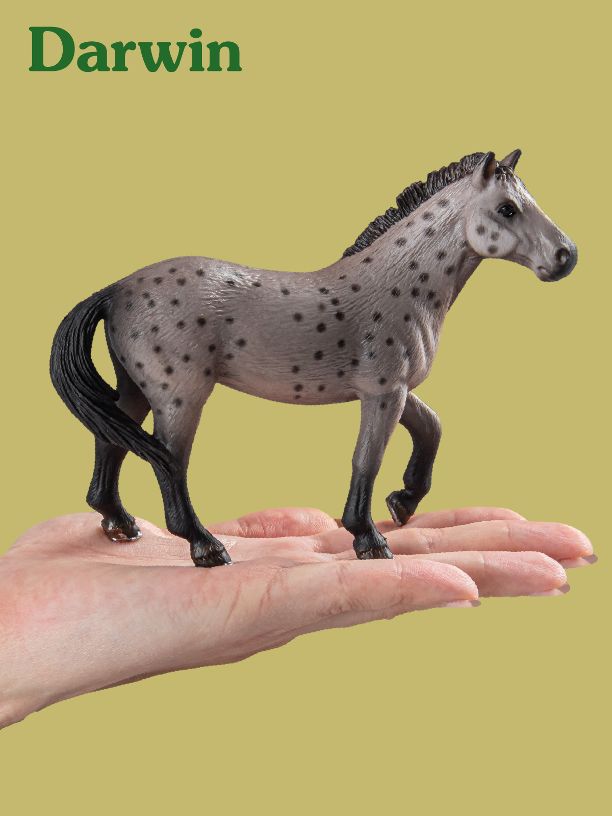 Игровой набор DARWIN Лошади 2шт - фото 2