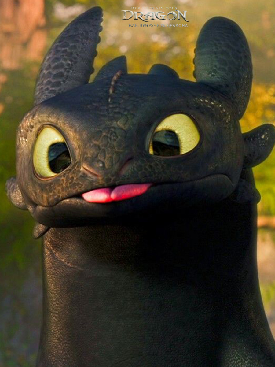 Игровой набор Dragons How to Train Your Dragon Интерактивная игрушка Беззубик - фото 2