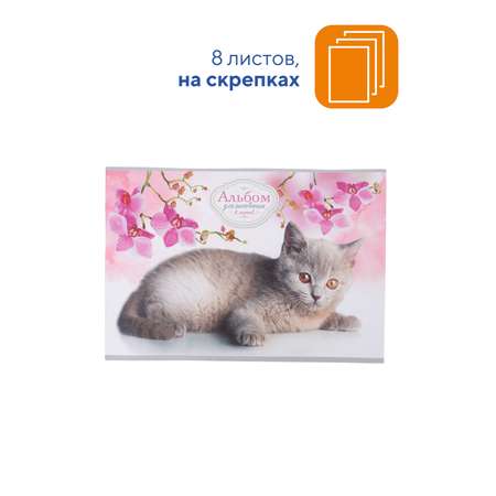 Альбом WORKMATE А4 8 лист. 5 шт.