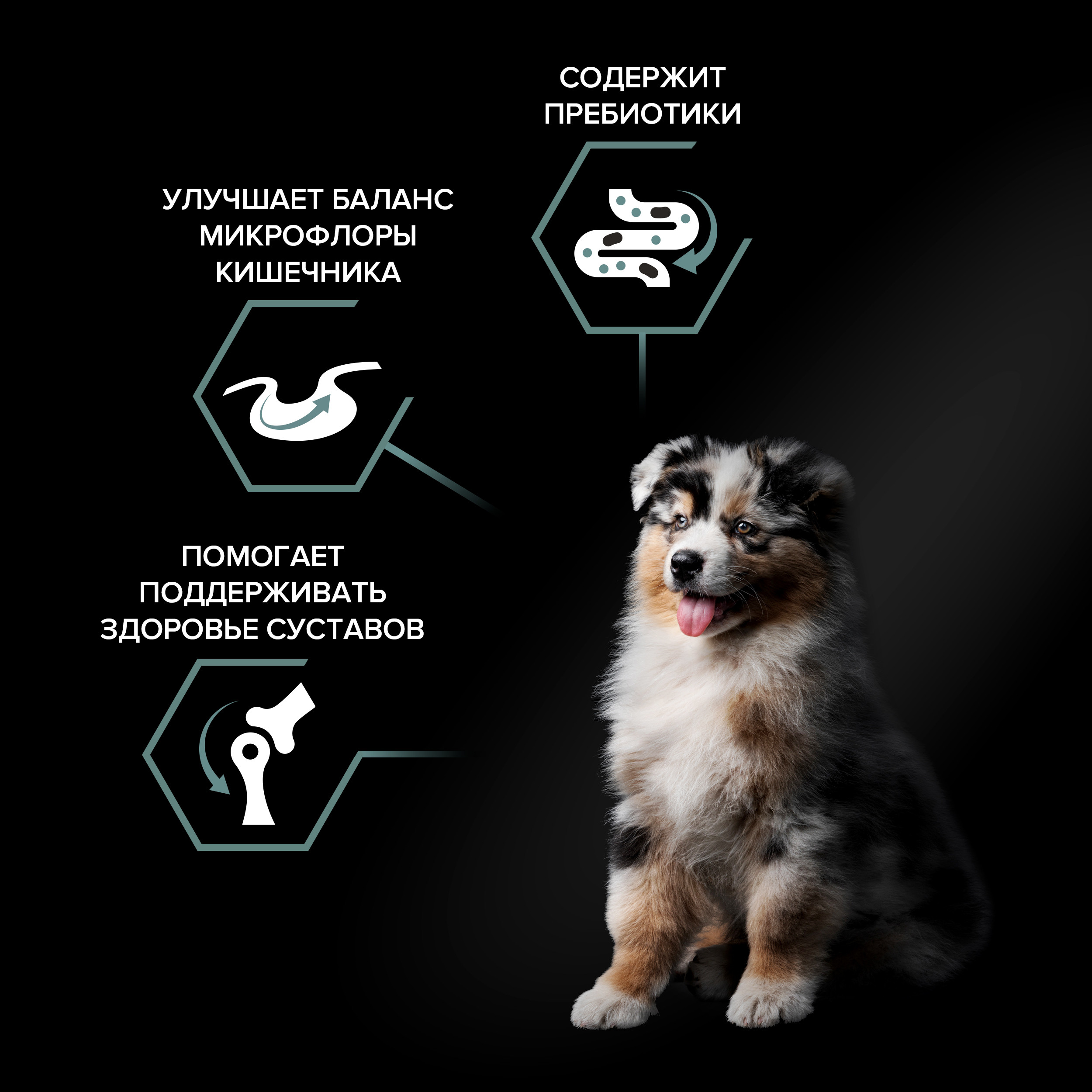 Корм сухой для щенков PRO PLAN SENSITIVE DIGESTION 1.5 кг с ягненком для средних пород - фото 3