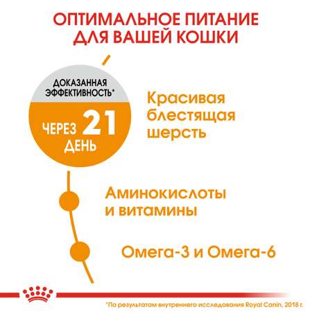 Корм сухой для кошек ROYAL CANIN Hair/Skin Care 10кг для поддержания здоровья кожи и шерсти