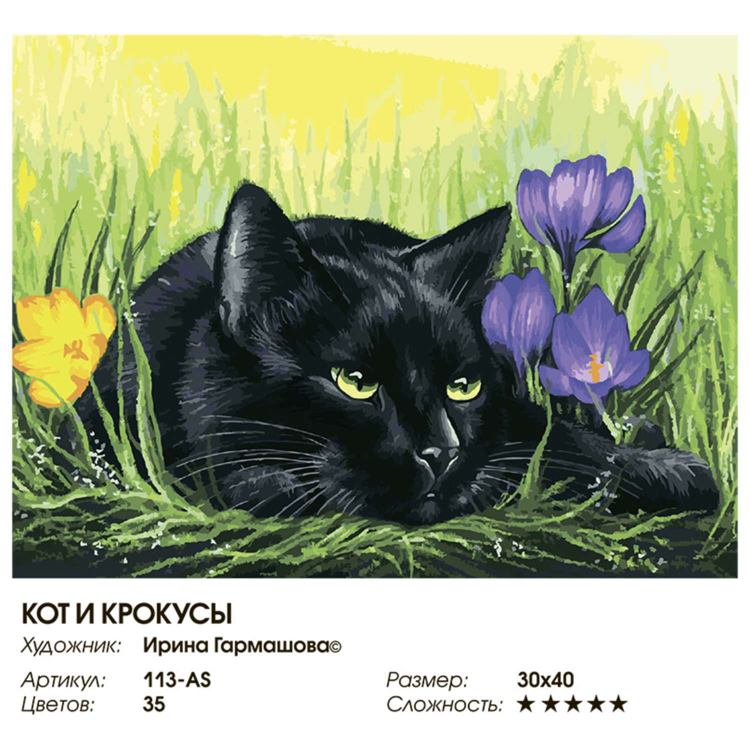 Картина по номерам Белоснежка - фото 7