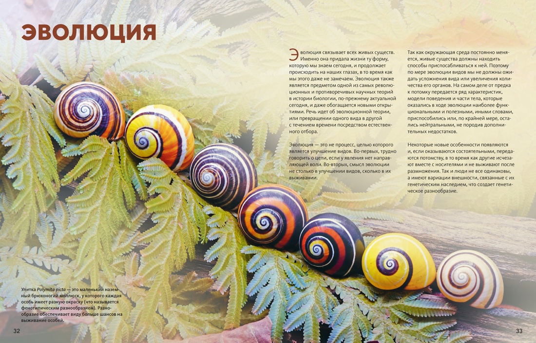 Книга Махаон Огромная энциклопедия животных мира - фото 9