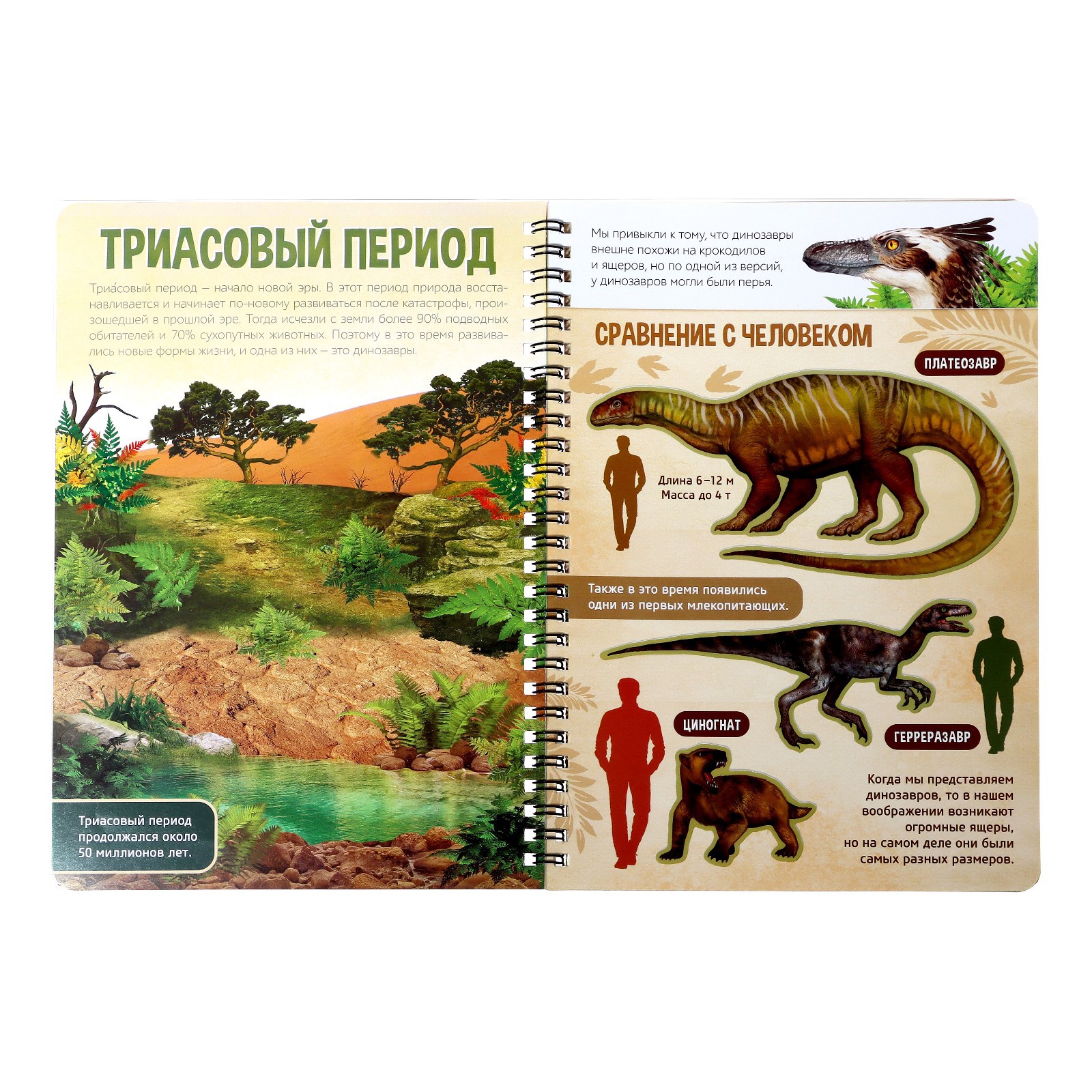 Книга с прозрачными страницами Буква-ленд «Эра динозавров» - фото 4