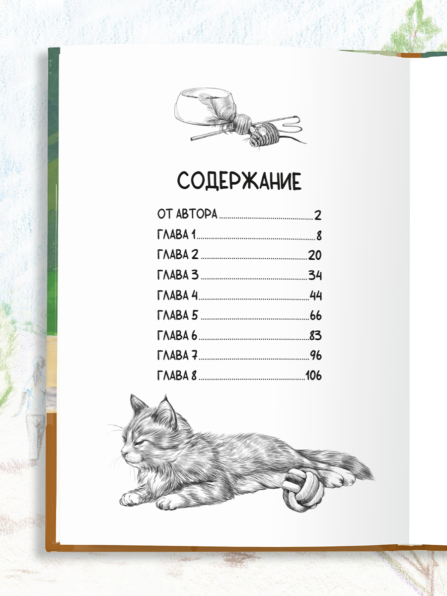 Книга Проф-Пресс Я тебя не брошу Полосатое счастье К. Коскина - фото 7