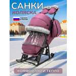 Санки-коляска NiKA kids
