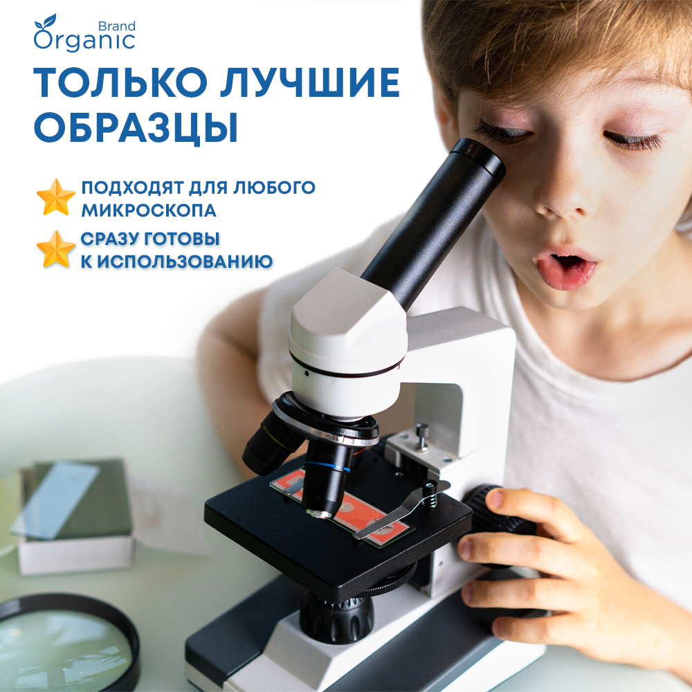 Микроскоп ORGANIC BRAND - фото 5