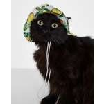 Панама для собак и кошек Зоозавр