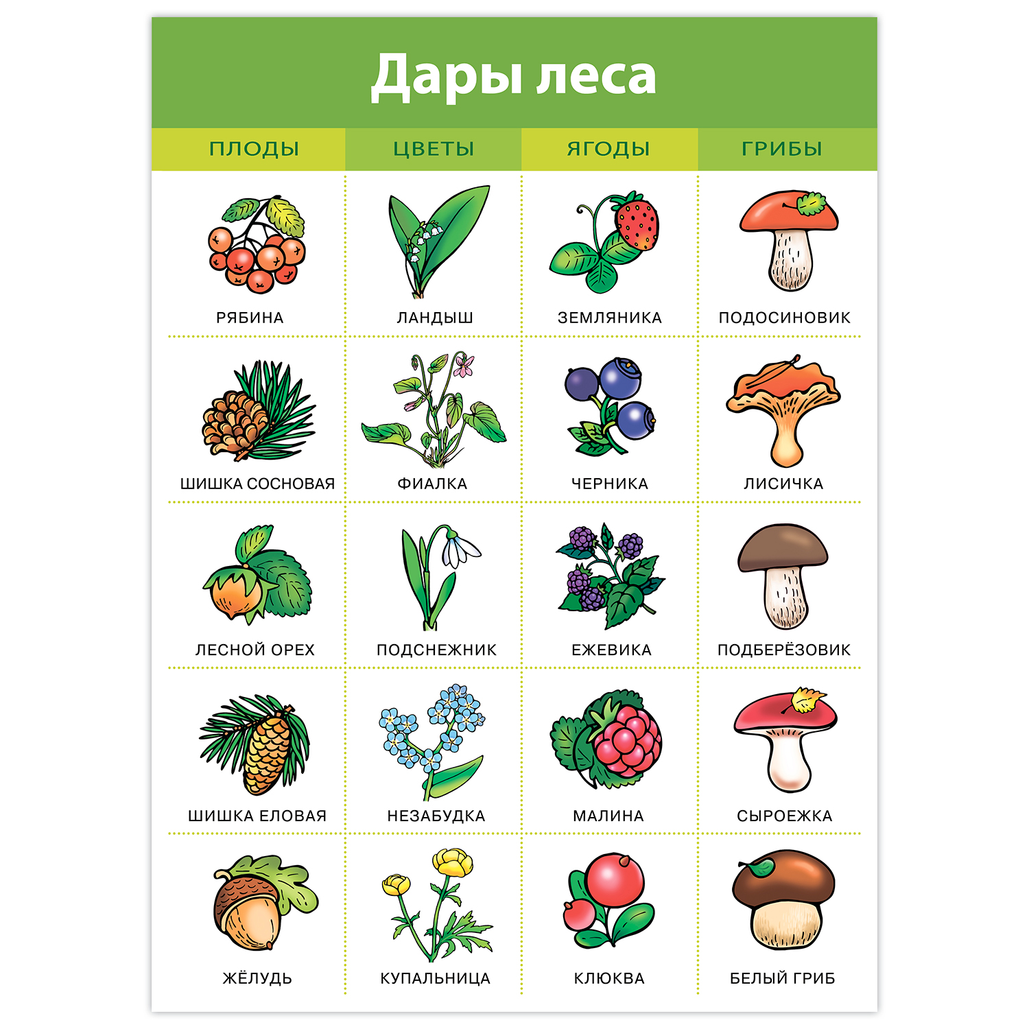 Настольная игра Дрофа-Медиа - фото 4