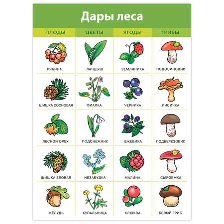 Настольная игра Дрофа-Медиа