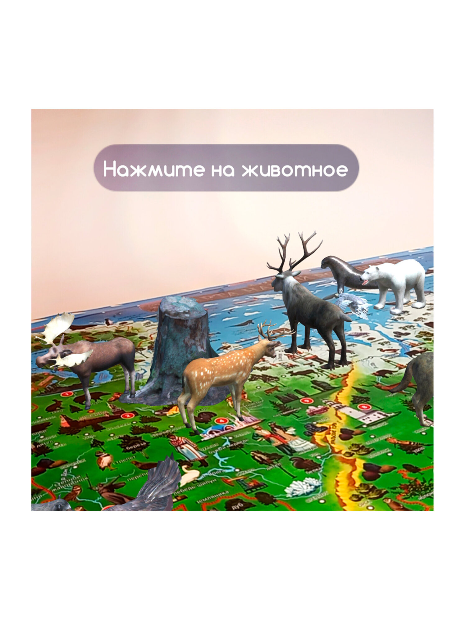 Карта настенная Юнландия детская игровая интерактивная Наша родина - фото 14