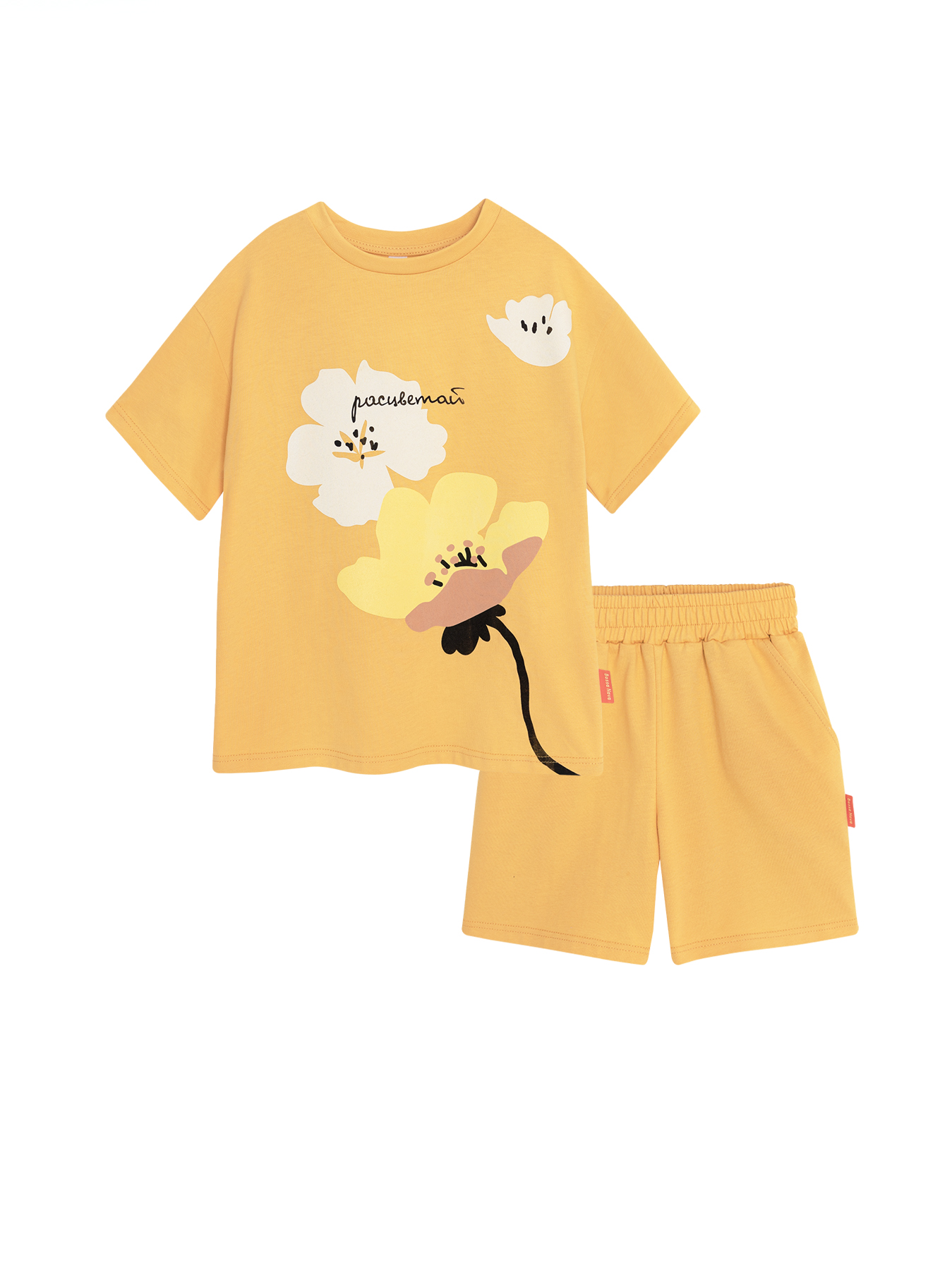 Футболка и шорты Bossa Nova 036Л24-161-О - фото 7