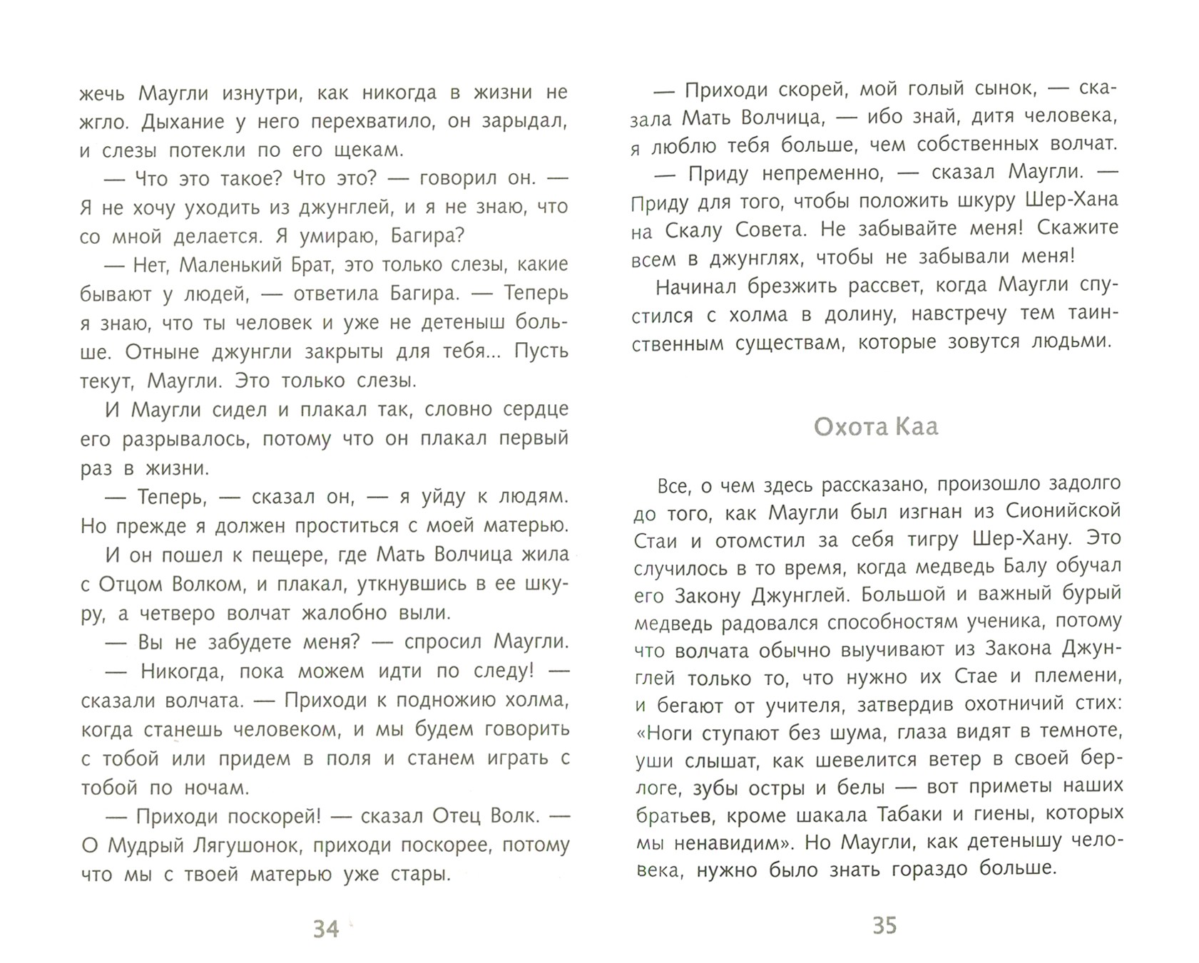 Книга Стрекозa Маугли - фото 4