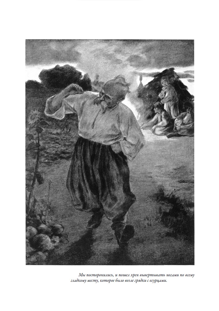 Книга СЗКЭО БМЛ Вечера на хуторе близ Диканьки. Миргород - фото 17
