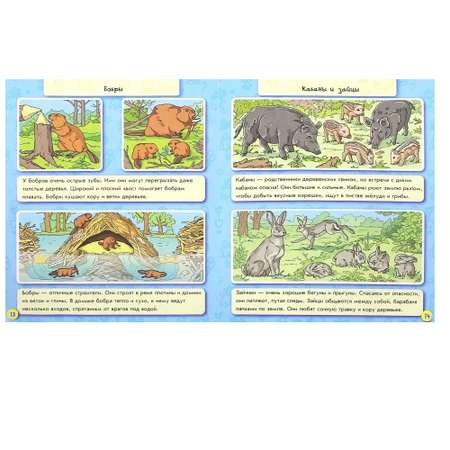 Книга РАНОК Энциклопедия в картинках Животные леса