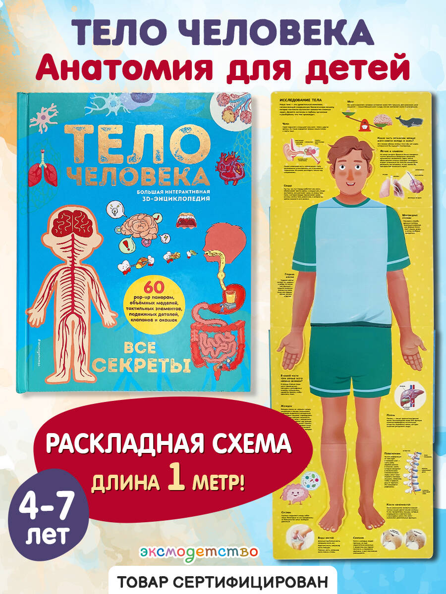 Книга Эксмо Тело человека Все секреты 3D - фото 1