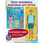 Книга Эксмо Тело человека Все секреты 3D