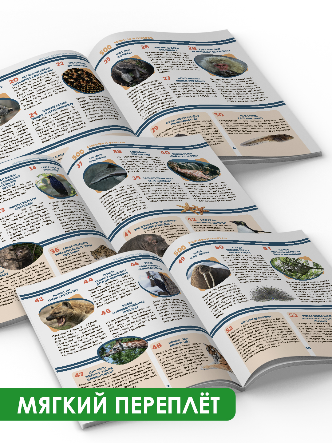 Книга Проф-Пресс Лучшая детская энциклопедия 96 стр мягкая обложка 500 вопросов и ответов - фото 3