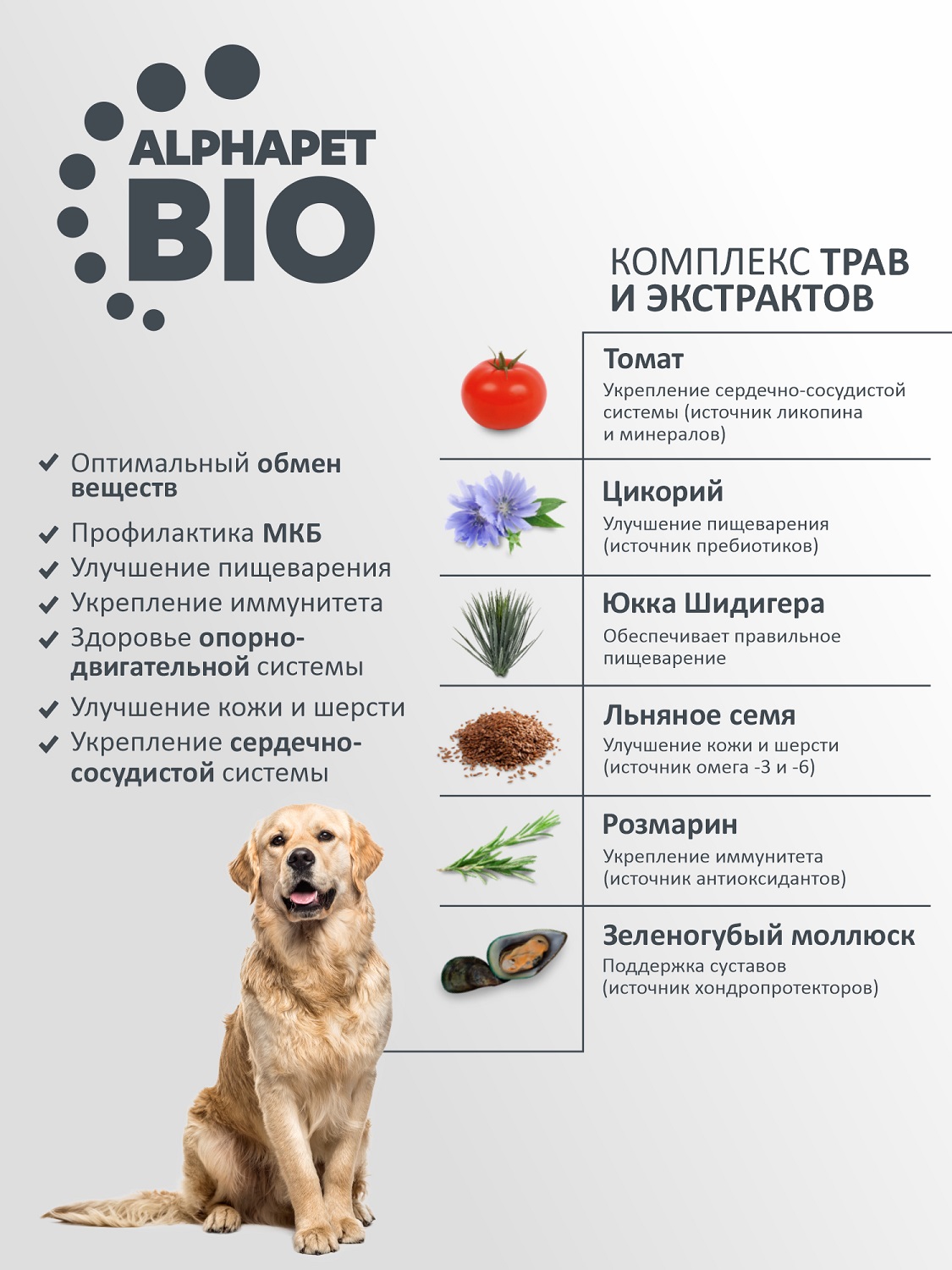 Корм для взрослых собак крупных пород AlphaPet Wow Superpremium сухой с говядиной и сердцем 15кг - фото 2