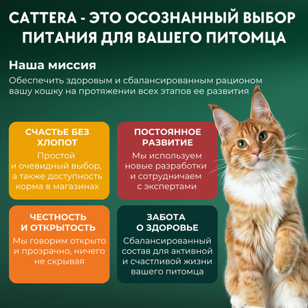 Корм сухой для кошек Cattera полнорационный для взрослых стерилизованных кошек с говядиной 0,3