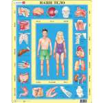 Пазл Larsen Наше тело 35 эл классический