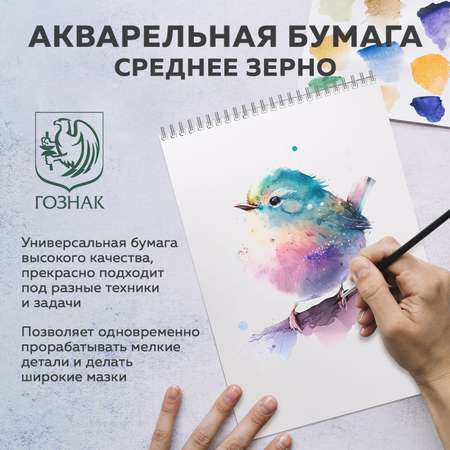 Художественная бумага Brauberg для акварели