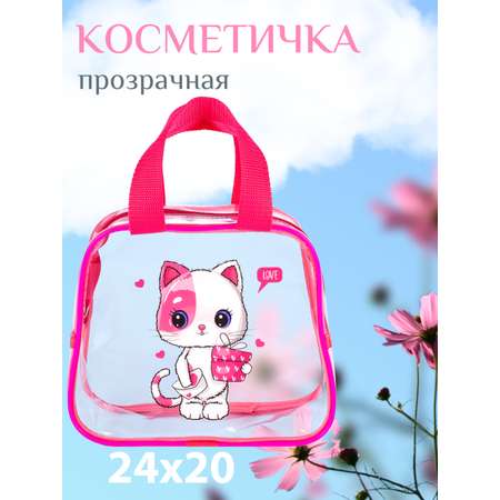 Сумочка для бассейна DARIKAGROUP косметичка прозрачная
