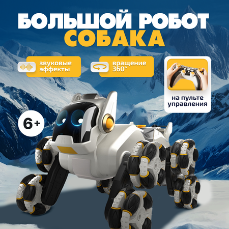 Собака РУ Tim Tin