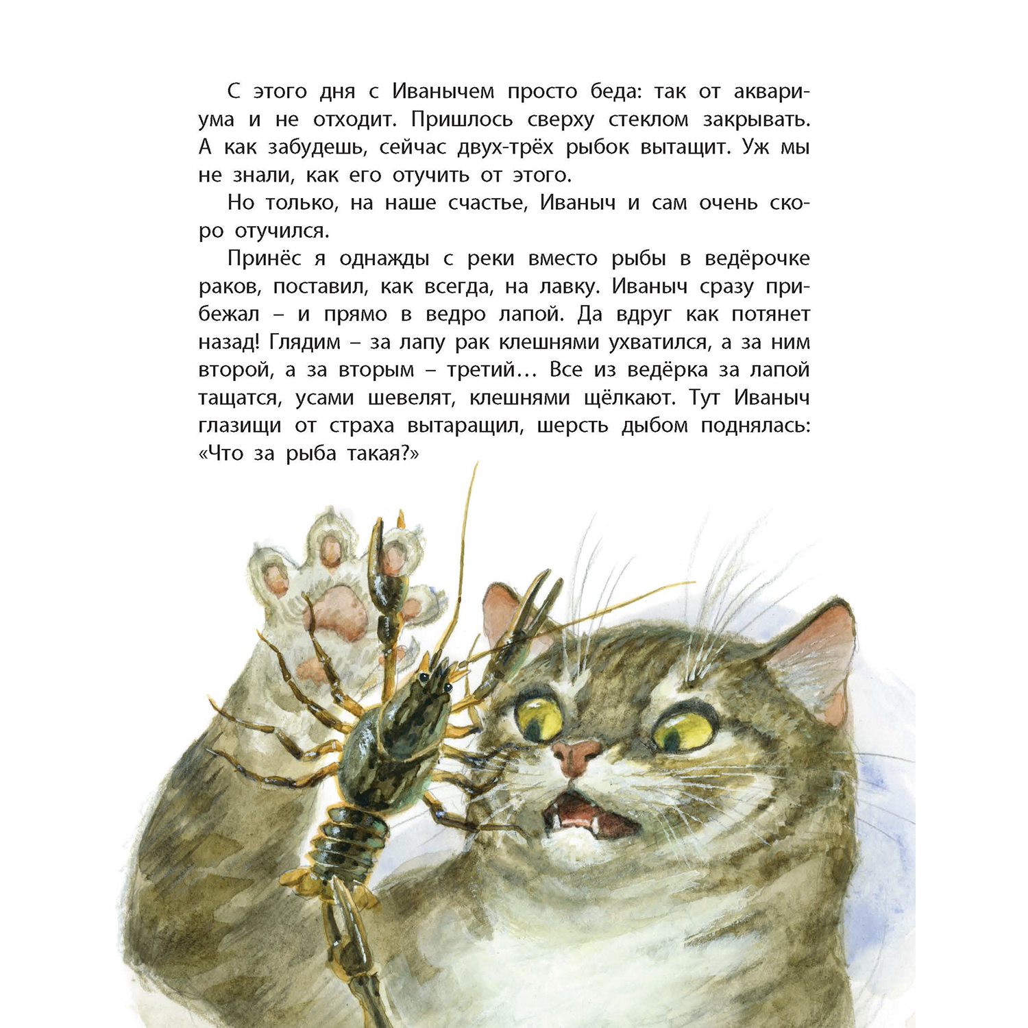 Книга ЭНАС-КНИГА Обыкновенные кошки - фото 5