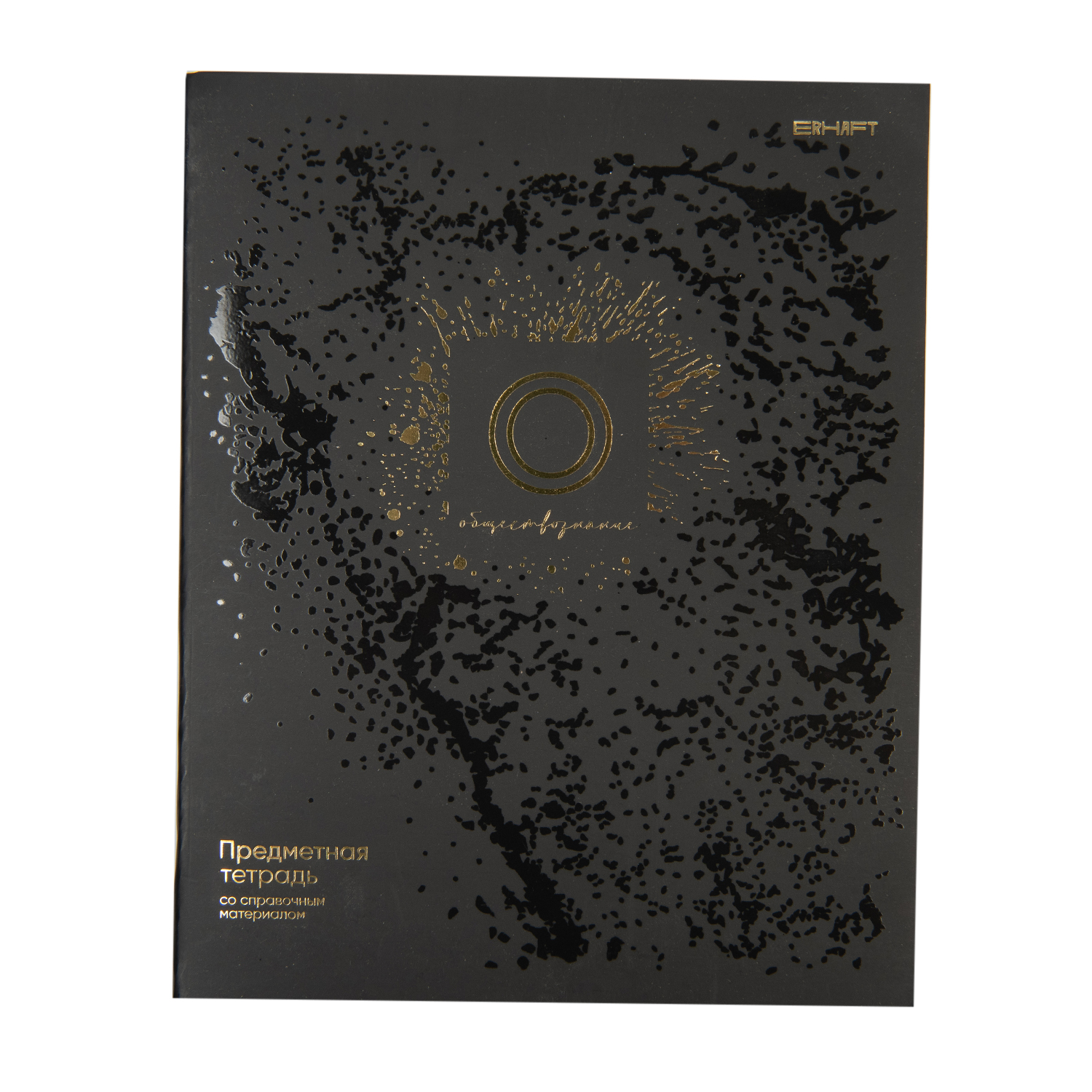 Тетрадь Erhaft 48 лист. (Обществознание) - фото 1