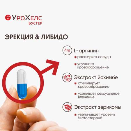 БАД VECTOR-MEDICA УРОХЕЛС БУСТЕР Возбудитель Таблетки для потенции Для мужчин Афродизиак