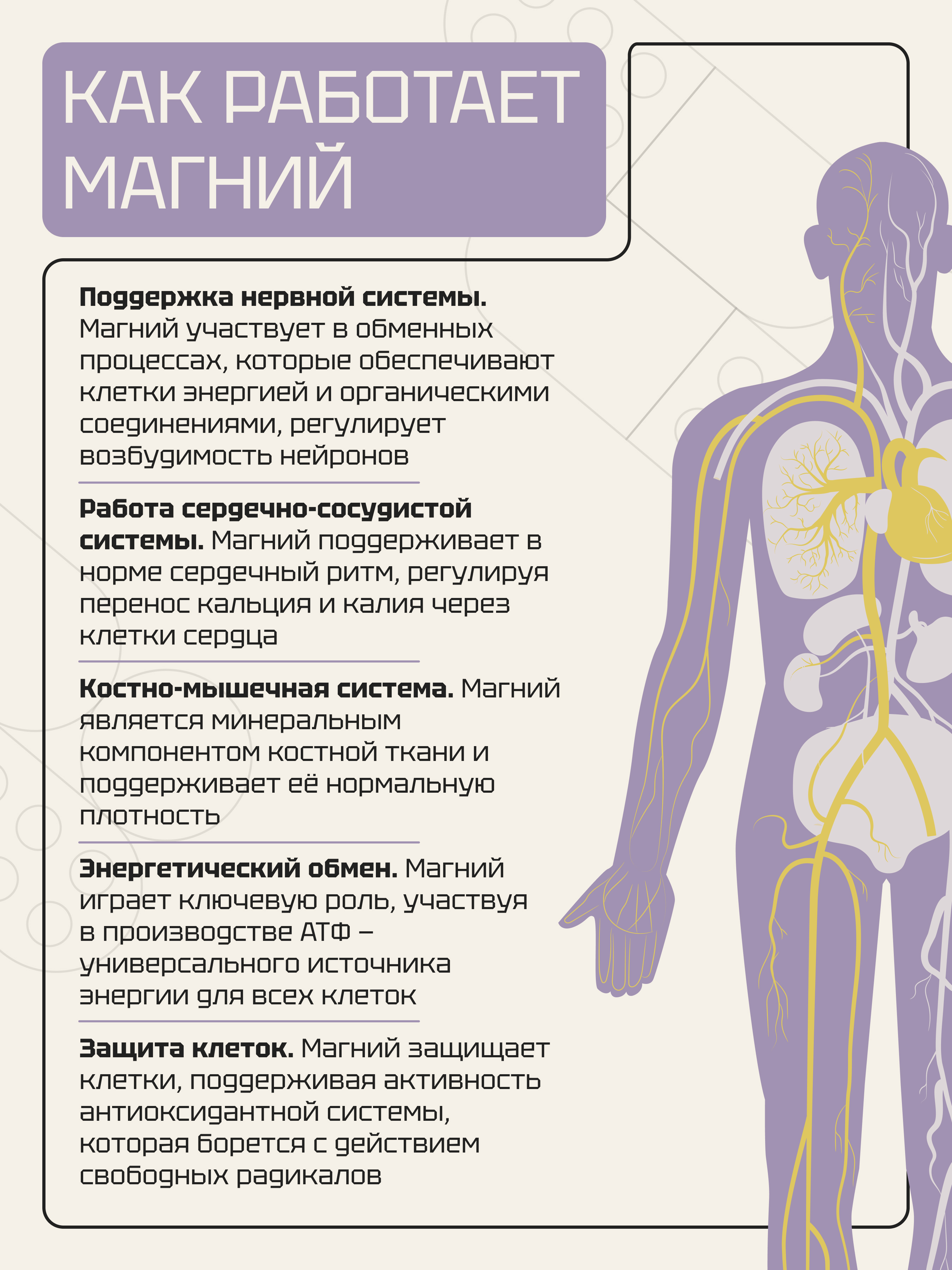 БАД Zolten Tabs минеральный комплекс цитрата магния B6 120 капсул - фото 4