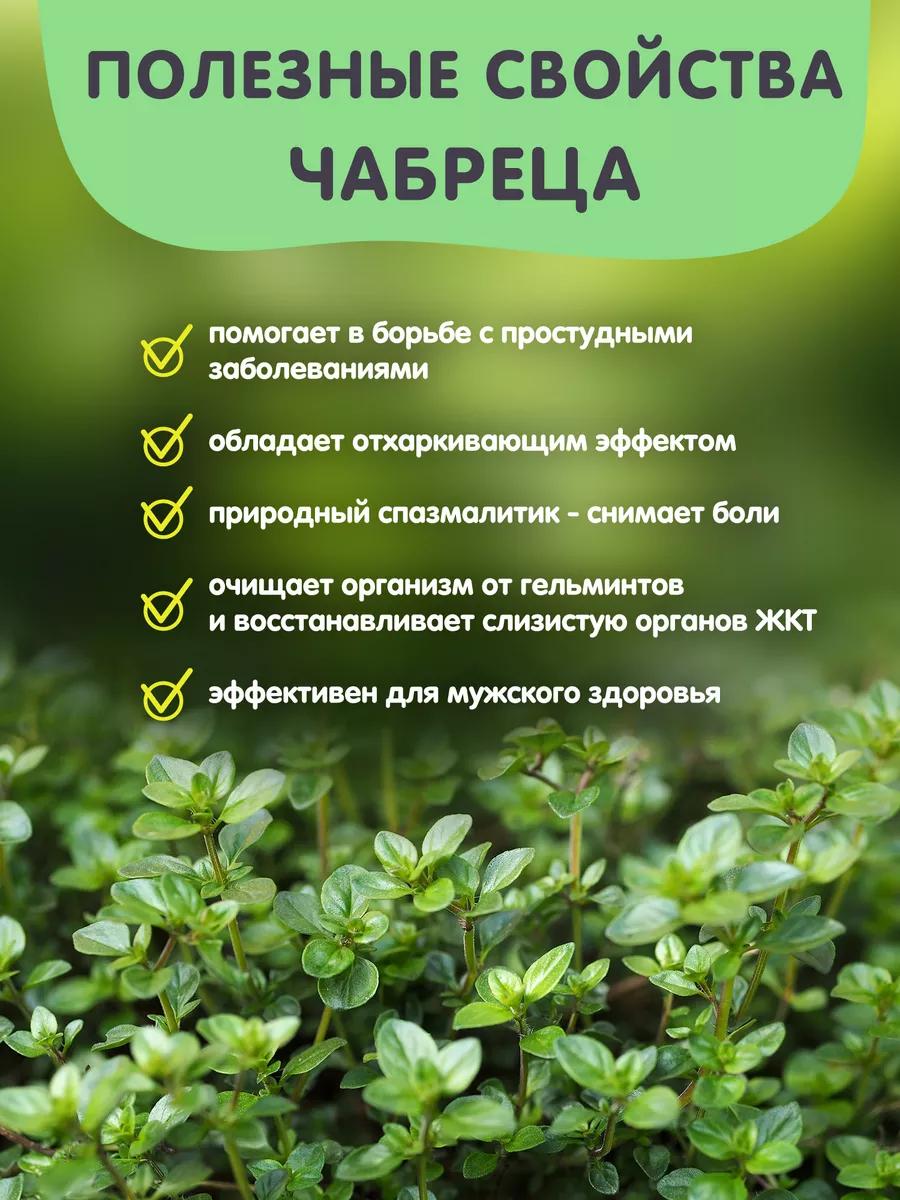 Чай Травы горного Крыма с горным чабрецом 20 пирамидок - фото 3