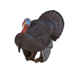 Фигурка KONIK Индюк