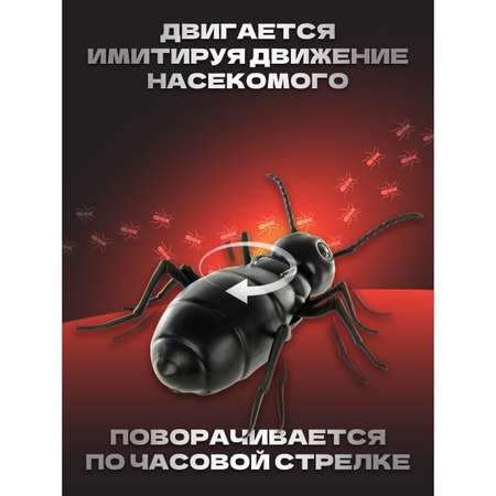 Насекомое РУ Veld Co Жук