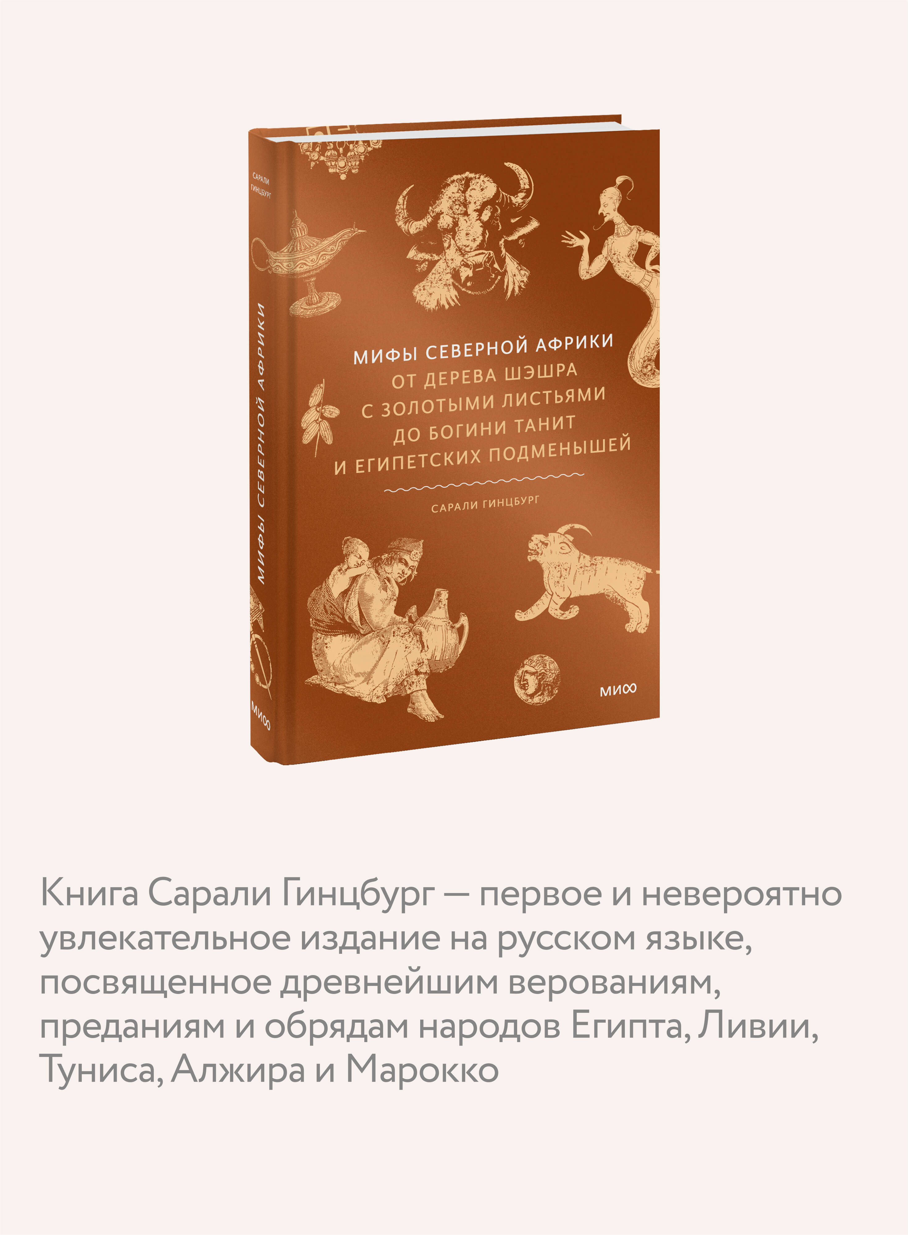 Книга МИФ Мифы Северной Африки. От дерева Шэшра с золотыми листьями до богини Танит - фото 2