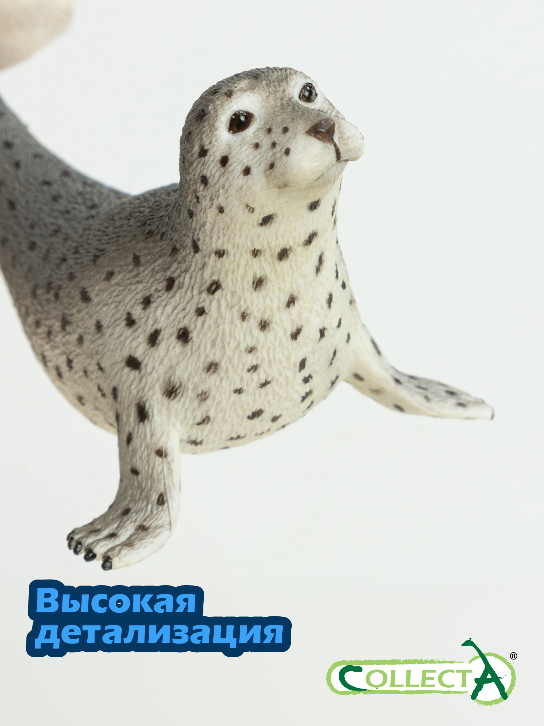 Фигурка Collecta Тюлень - фото 3