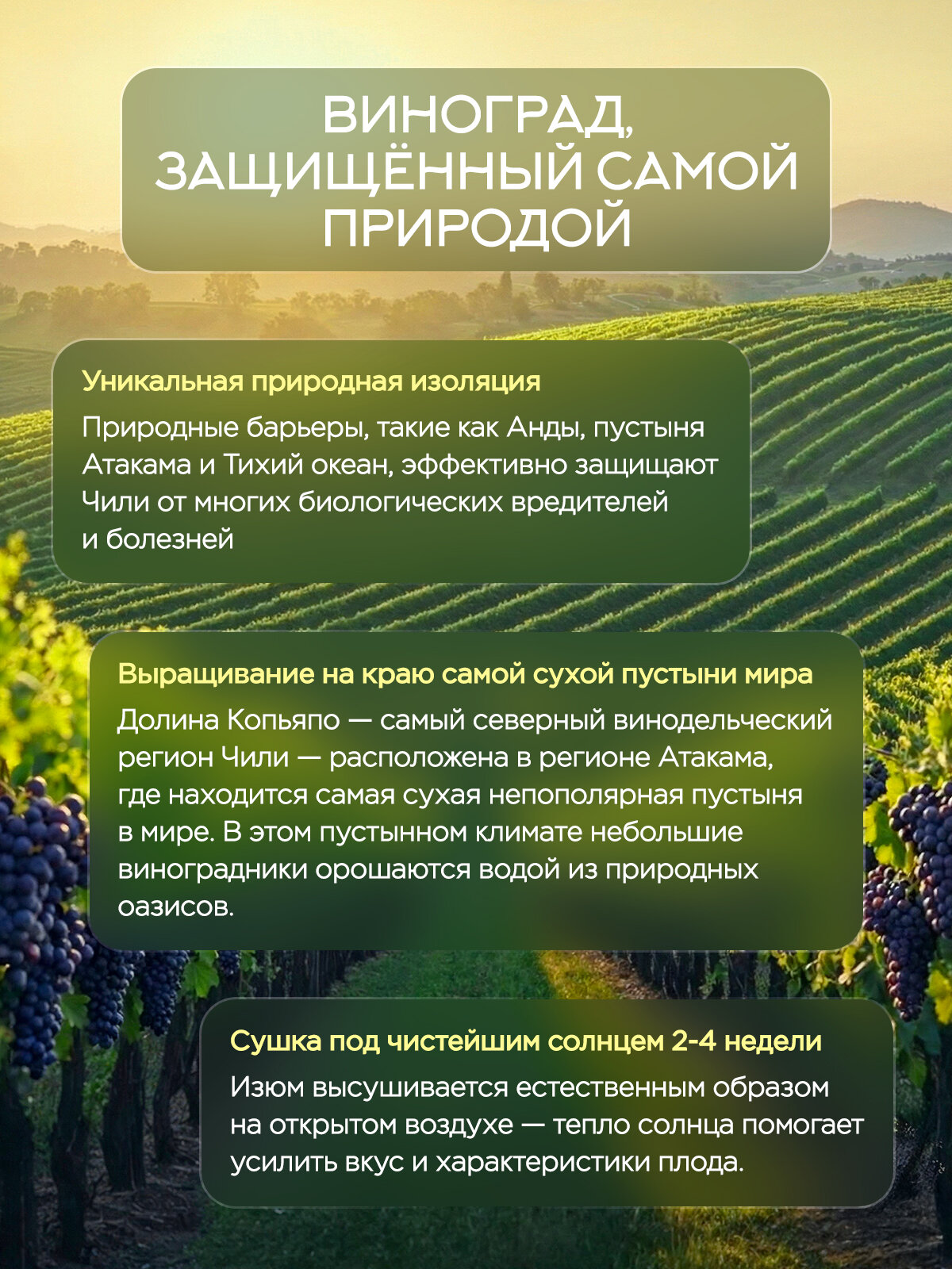 Изюм Narmak джамбо флейм 1000гр крупный без косточки - фото 6
