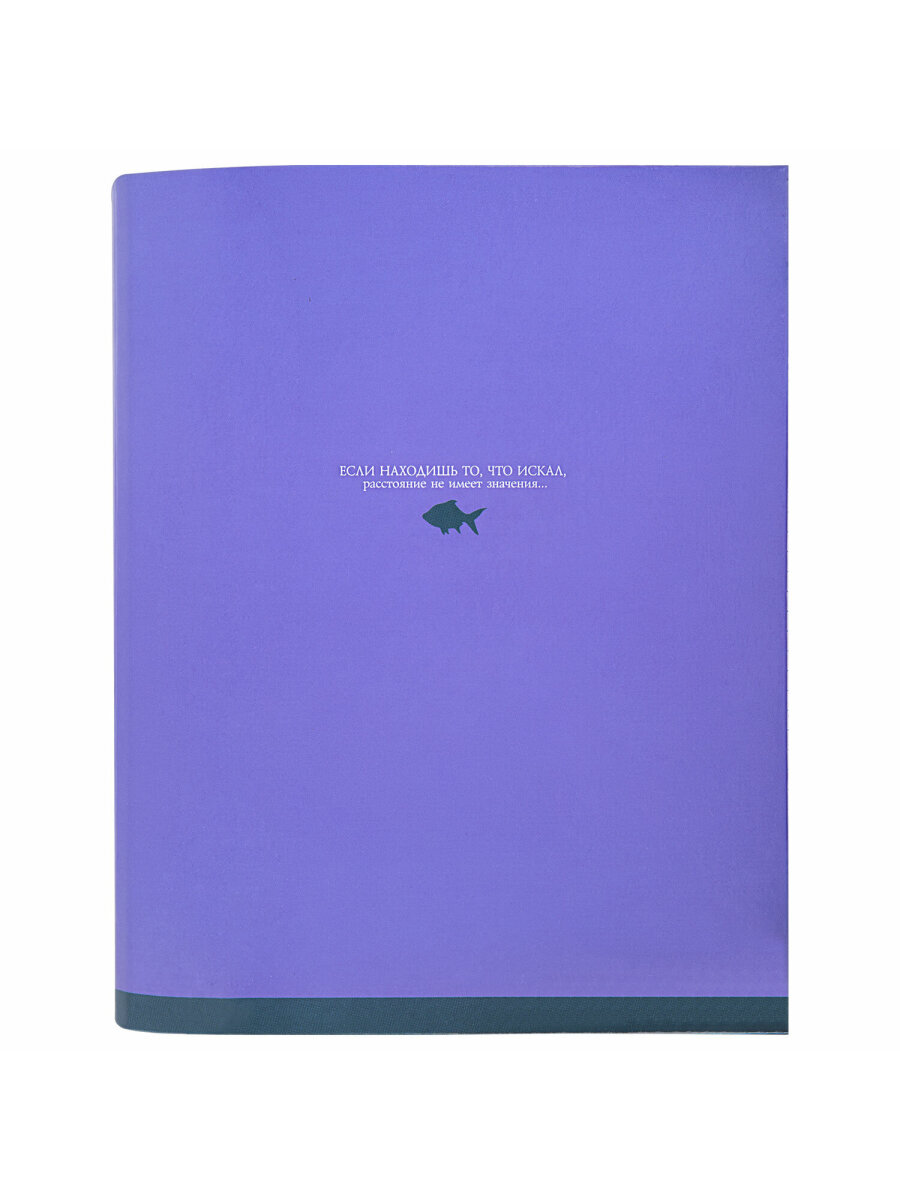 Тетрадь со сменным блоком Brauberg клетка 120 лист. - фото 4