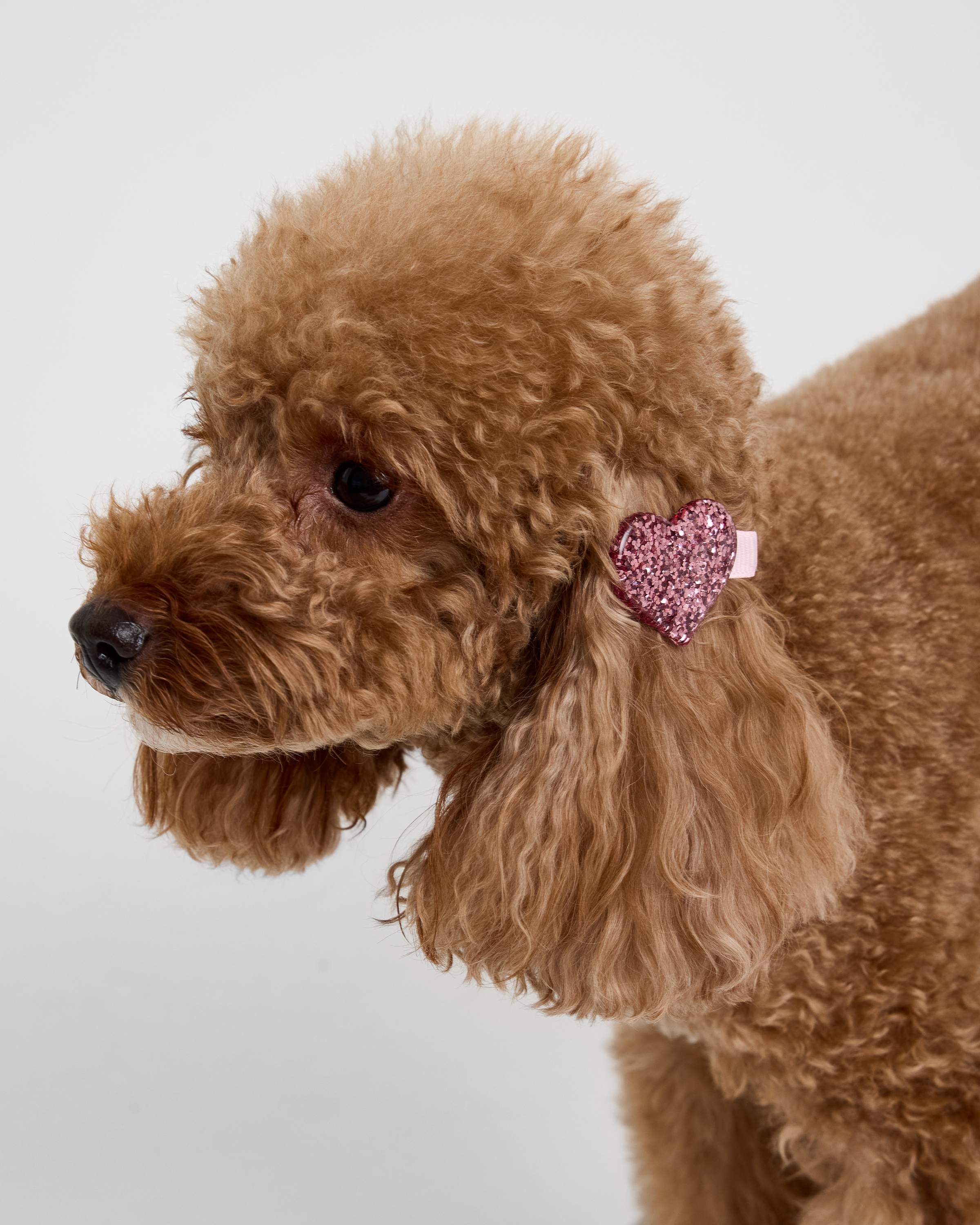 Заколки для собак и кошек Зоозавр - фото 3