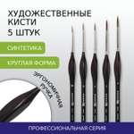 Кисть Brauberg 5 шт. (синтетика)