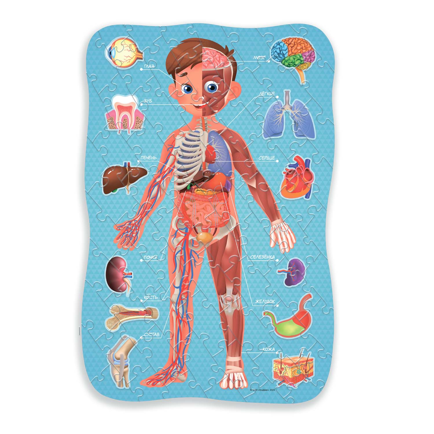 Пазл ГЕОДОМ - фото 2