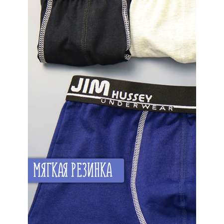Трусы 4 шт Jim Hussey