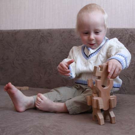 Настольная игра ToyMo