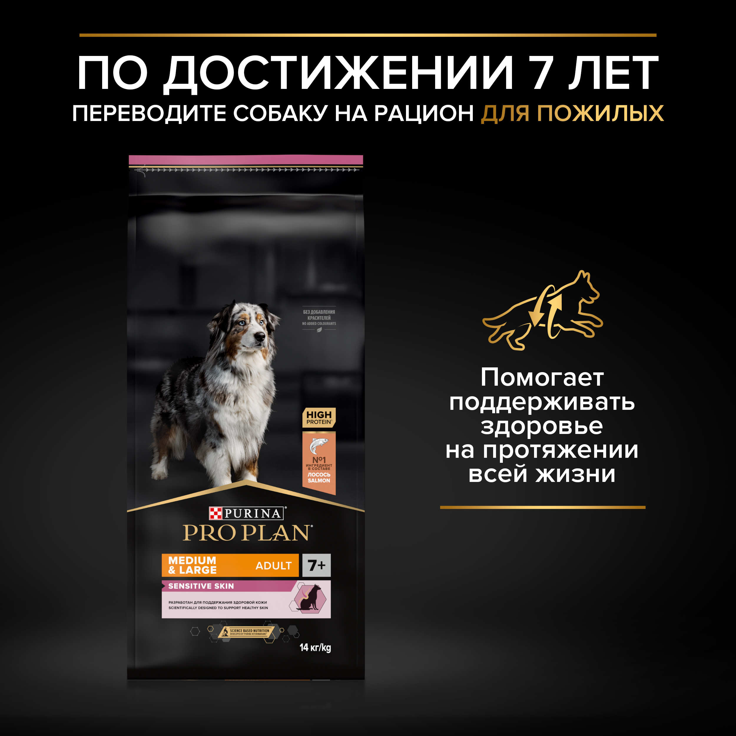 Корм сухой для собак PRO PLAN DUO DELICE 10 кг с говядиной для средних и крупных пород - фото 12
