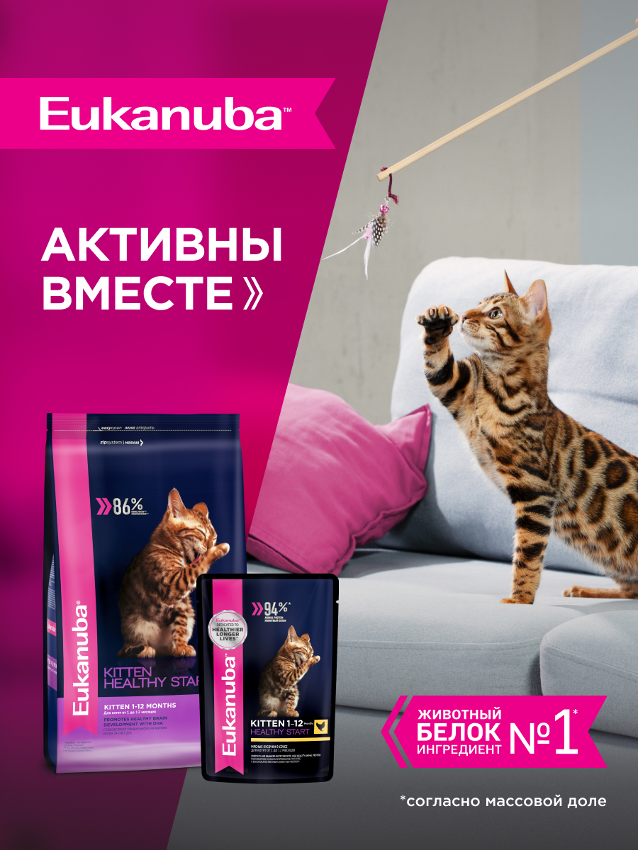 Корм влажный для котят Eukanuba Cat 85г с курицей в соусе пауч - фото 8