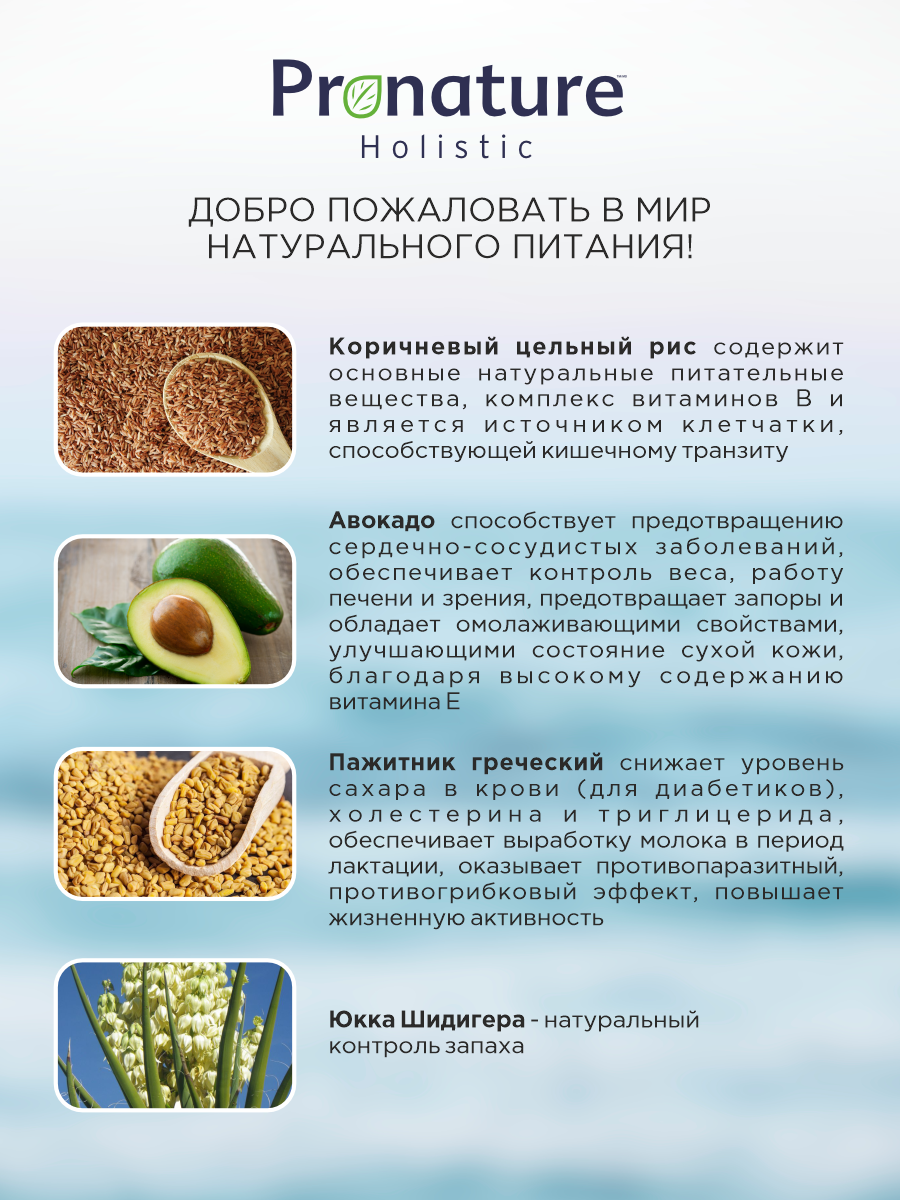 Корм для собак сухой Pronature Holistic Atlantic для кожи и шерсти на лососе с рисом 10кг - фото 3