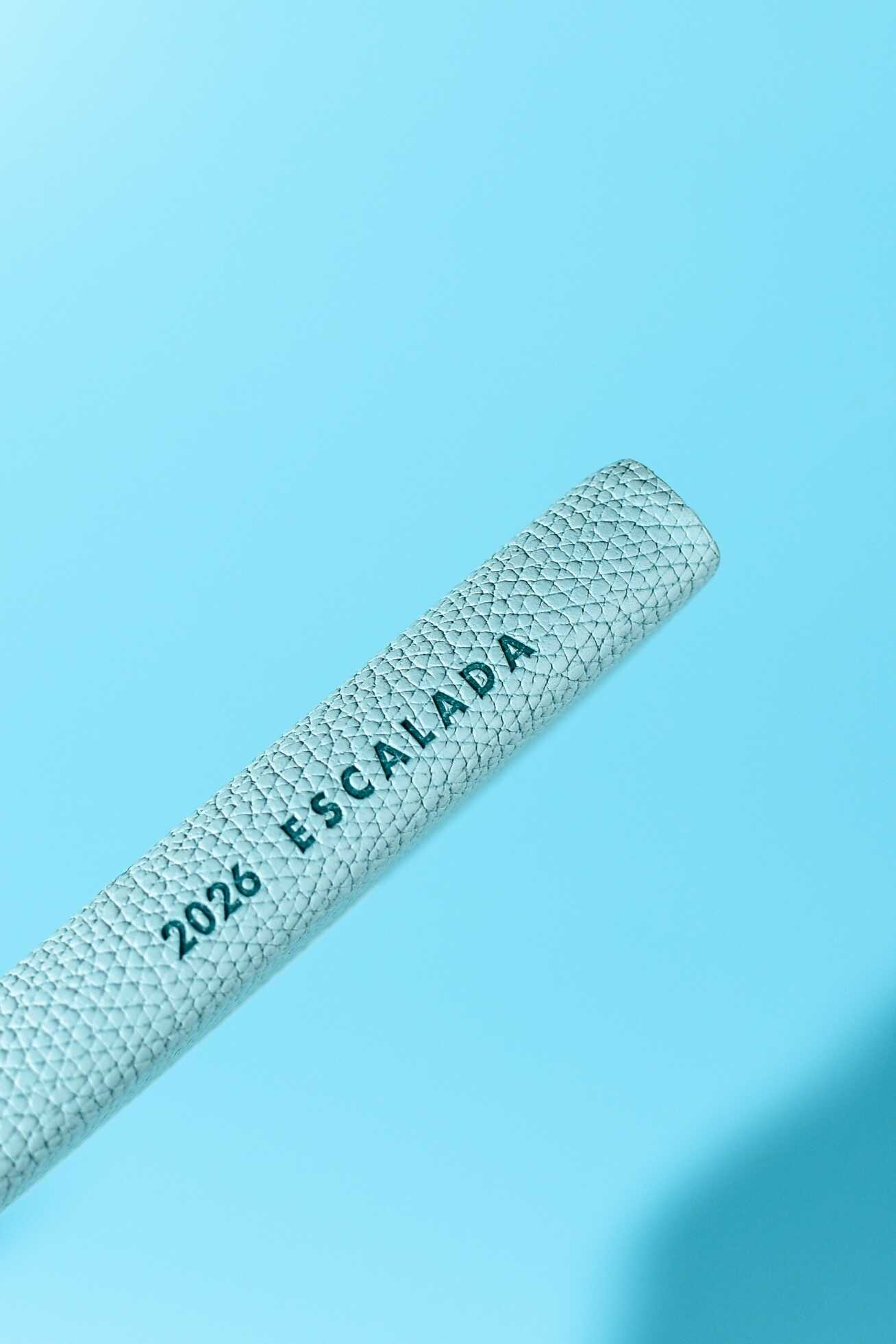 Ежедневник Феникс + ESCALADA 96 лист. - фото 9