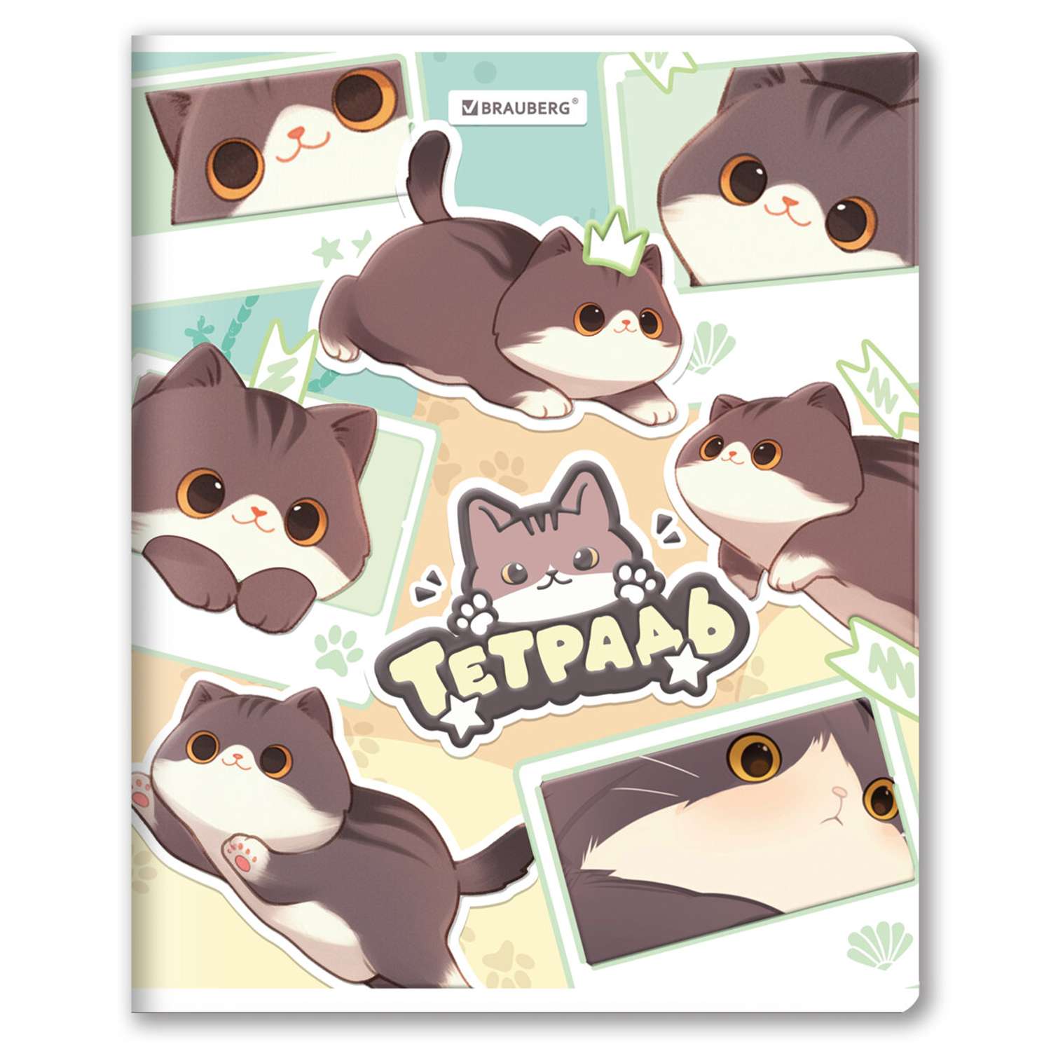 Тетрадь Brauberg клетка 48 лист. в ассортименте - фото 3