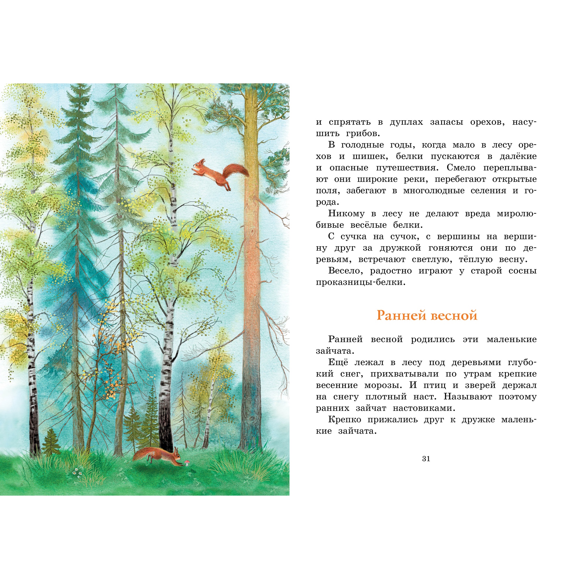 Книга МАХАОН Год в лесу. Рассказы о природе Соколов-Микитов И. - фото 5